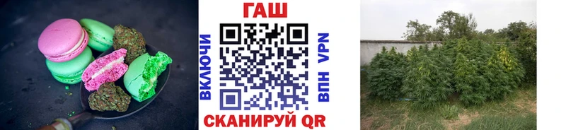 наркота  Курчатов  гидра вход  Печенье с ТГК конопля 