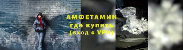 сатива Михайлов