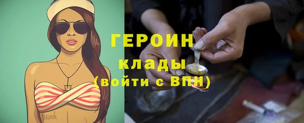 шишки Надым