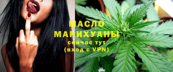 сатива Михайлов