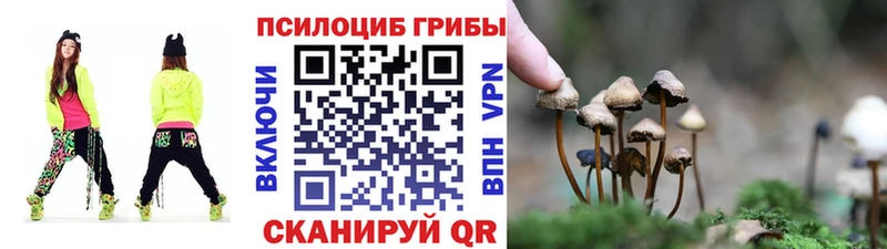 Псилоцибиновые грибы мицелий  Курчатов 