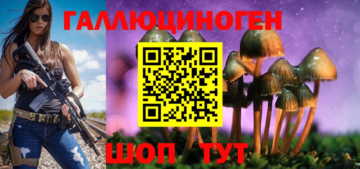 Псилоцибиновые грибы Psilocybine cubensis  Вход с VPN  продажа наркотиков  Галлюциногенные грибы GOLDEN TEACHER  Курчатов 